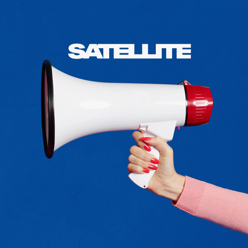 Two Door Cinema Club : Satellite